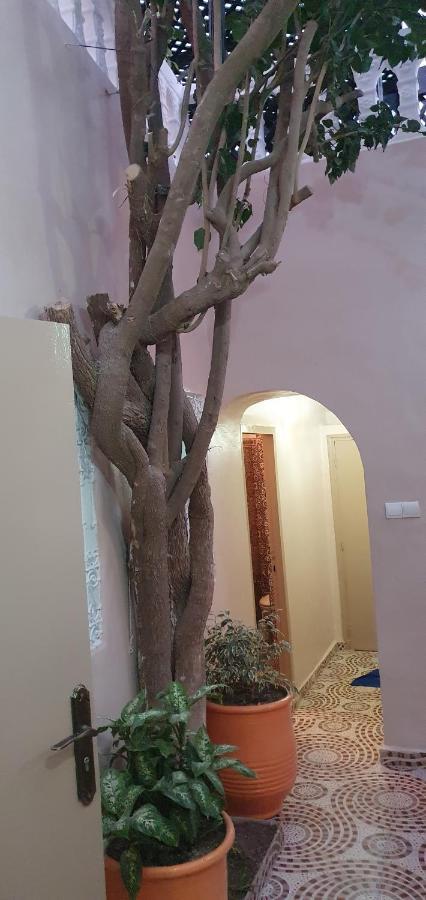 Surf Riad Taghazout Exterior foto