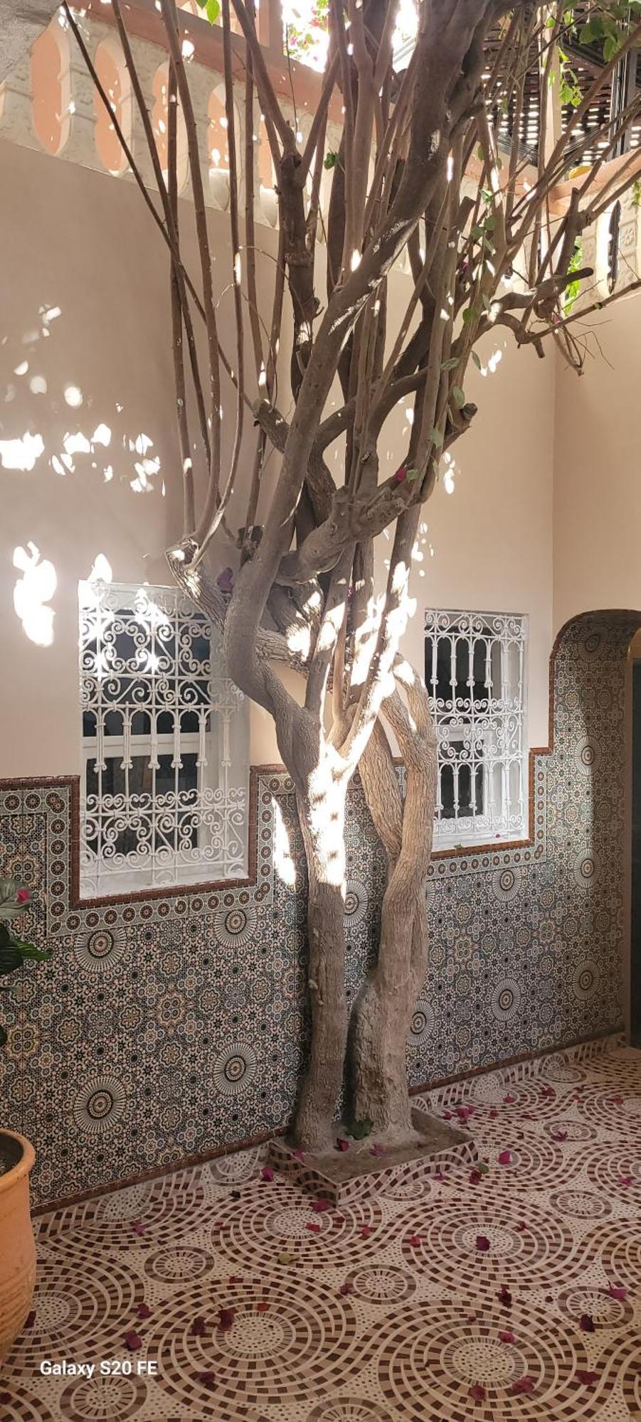 Surf Riad Taghazout Exterior foto